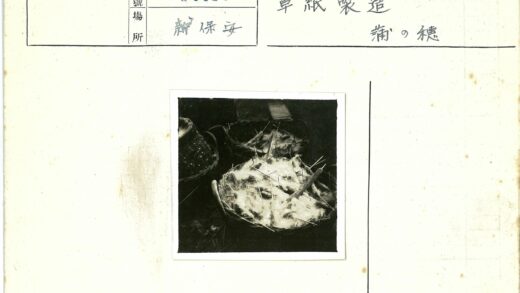 蓬松树枝篮内景.jpg