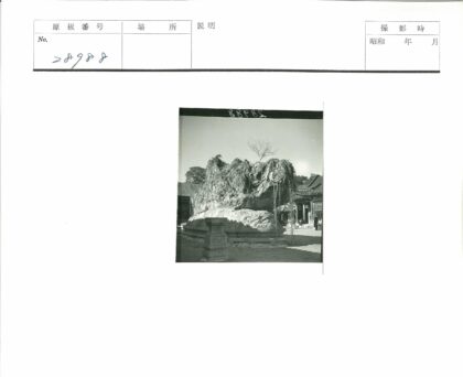藤蔓岩石与传统建筑庭院.jpg