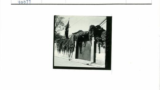藤蔓覆盖的古老木门街景.jpg