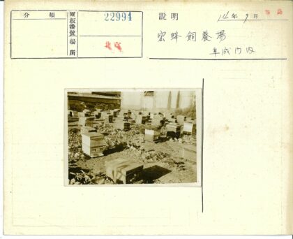 蜂箱田园与建筑背景.jpg