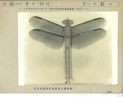 蜻蜓标本特写日语标签.jpg
