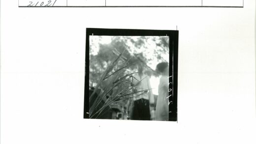 蜻蜓栖息草丛远处两人树影.jpg