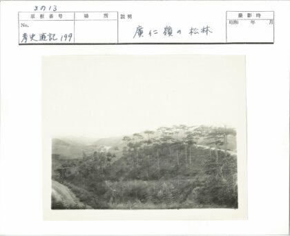 蜿蜒林间路与丘陵风光.jpg