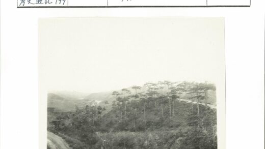 蜿蜒林间路与丘陵风光.jpg