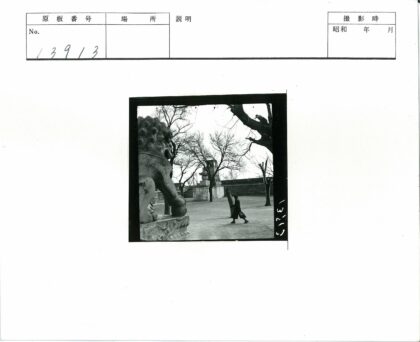 行人携物穿行石狮与古树间.jpg