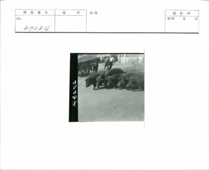 街上的野猪与马车行人.jpg