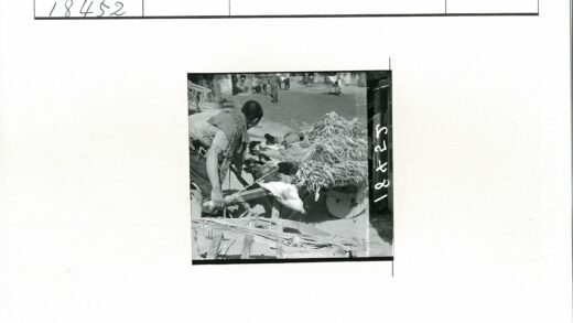 街头商贩推车卖鸡和蔬菜.jpg
