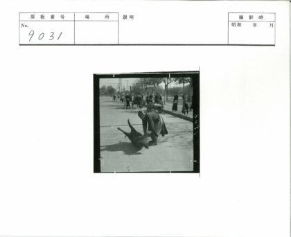街头牵猪的市井生活.jpg