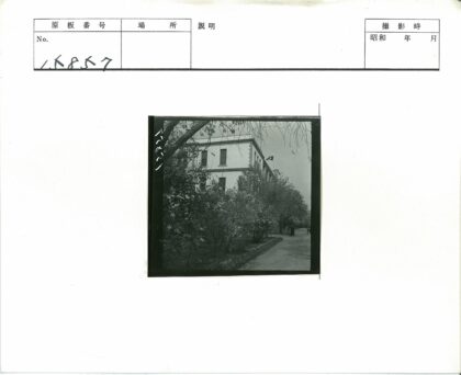 街景建筑旗帜行人树木.jpg