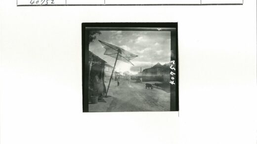 街景雨伞下行走的猪.jpg