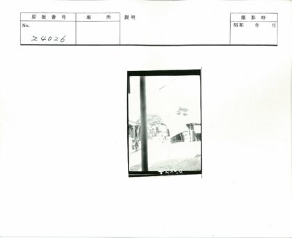 街边商店与绿树街景.jpg