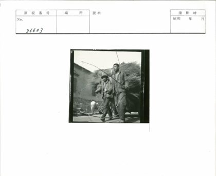 街边牛车与木棍运输.jpg