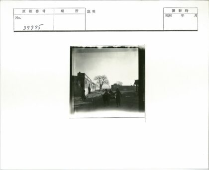 街道建筑马车大树历史街景.jpg