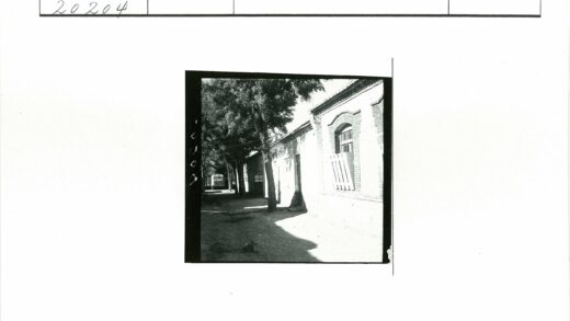 街道树木砖房远景汽车.jpg