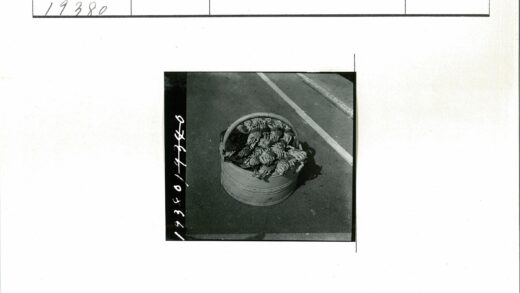 装满绿叶蔬菜的篮子.jpg