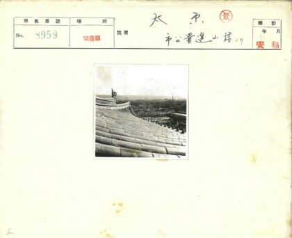 装饰华丽的弯曲瓦片屋顶城市景观.jpg