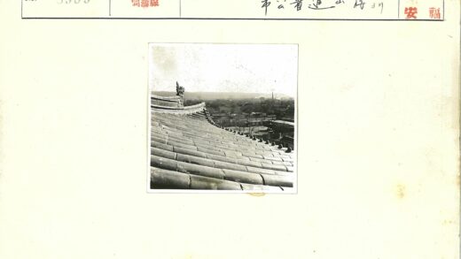 装饰华丽的弯曲瓦片屋顶城市景观.jpg