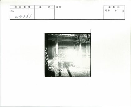 装饰建筑庭院瓷砖植物黑白照.jpg