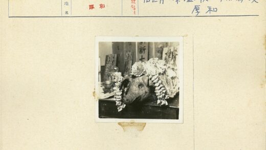 装饰猪头手工艺品展示.jpg