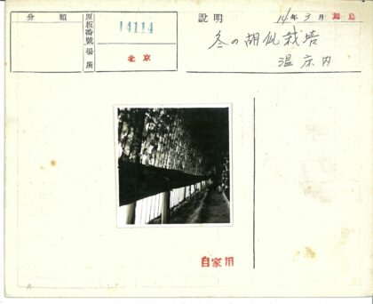 装饰篱笆与植物卷须的室外小路.jpg