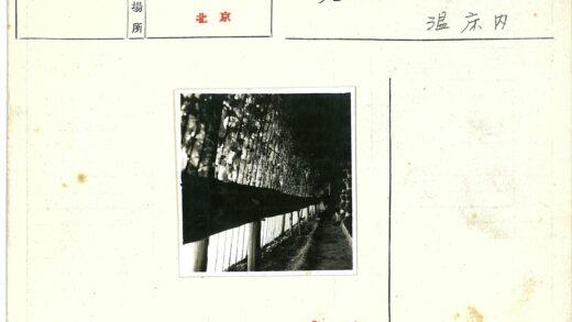 装饰篱笆与植物卷须的室外小路.jpg