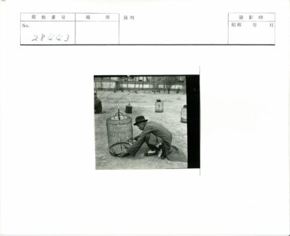 调整鸟笼的男子与悬挂鸟笼背景.jpg