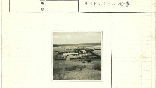质朴定居点鸟瞰图.jpg