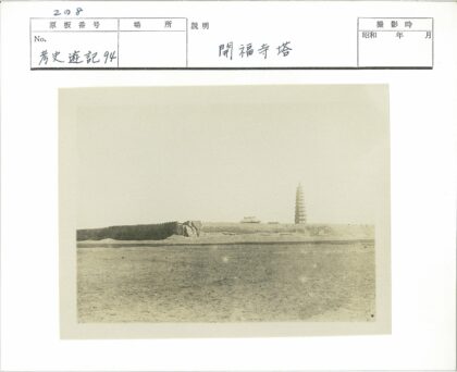贫瘠前景远眺宝塔群.jpg