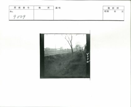 贫瘠土地上的铁路与枯树.jpg