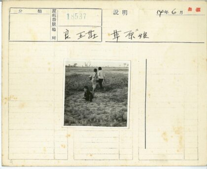 贫瘠土地上行走的孩子们.jpg