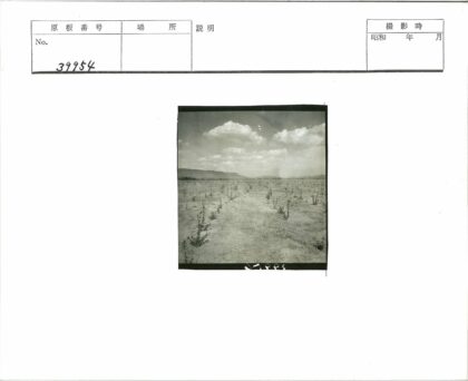 贫瘠土地与蓬松云层.jpg