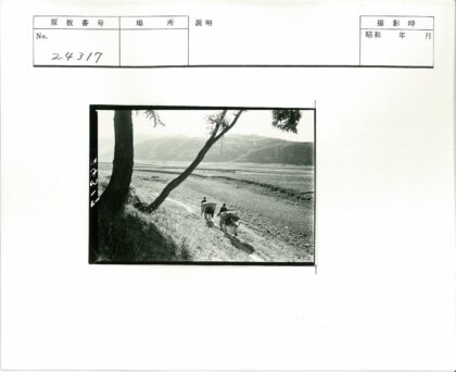 贫瘠土路牵驴行远山.jpg