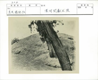 贫瘠景观倾斜树干小山.jpg