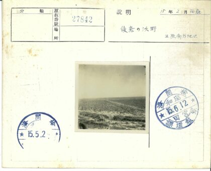 贫瘠田野与稀疏植被.jpg