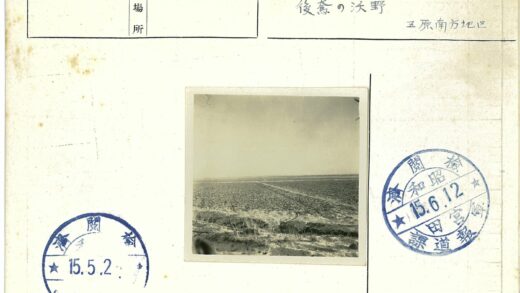 贫瘠田野与稀疏植被.jpg