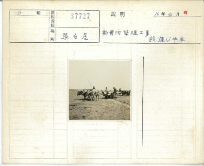 贫瘠空地牛车行进.jpg