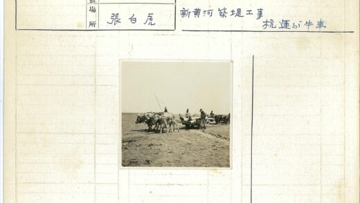 贫瘠空地牛车行进.jpg