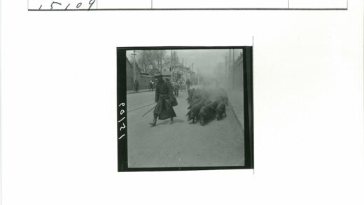 赶猪人穿行初春街道.jpg