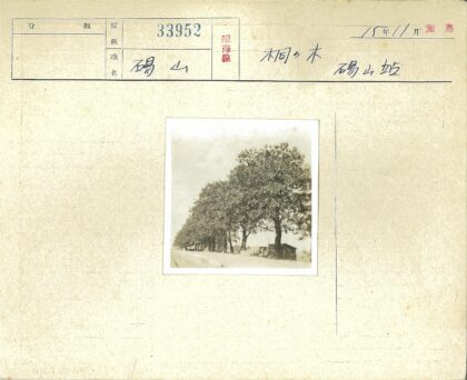 路边大树与棚屋电线杆阴影.jpg