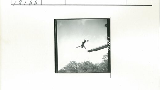 跳水者倒挂晴空树下.jpg