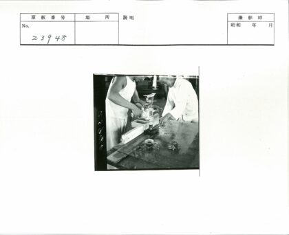 车间木结构钻孔作业.jpg