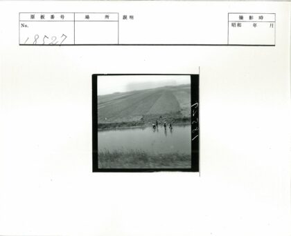 运河工人田野劳作纪实.jpg