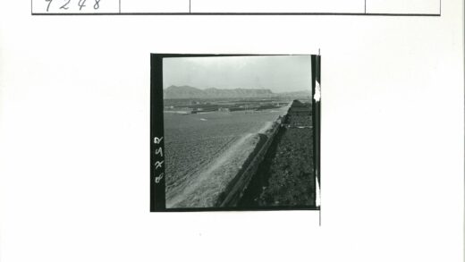 运河田野与远山景色.jpg