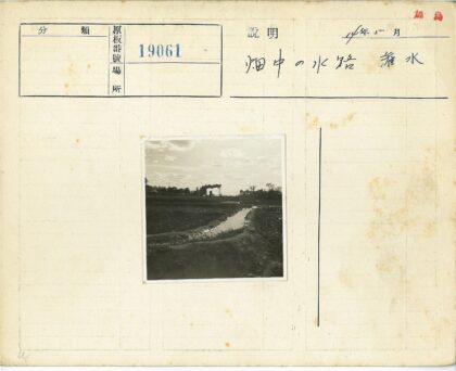 运河田野剪影风光.jpg