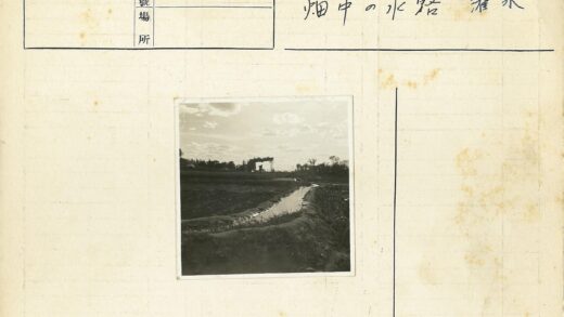 运河田野剪影风光.jpg