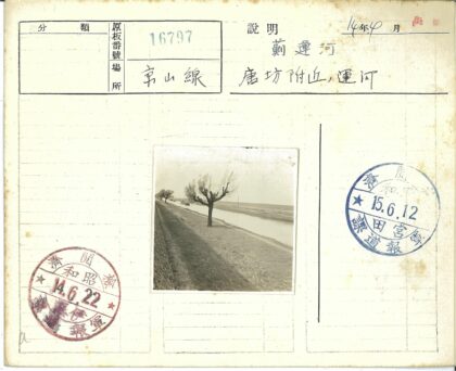 运河畔树木与铁路边的汽车.jpg