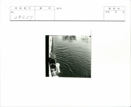 运河边的树影与石墙倒影.jpg