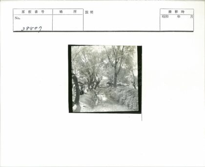 运河边绿荫下的市集生活.jpg