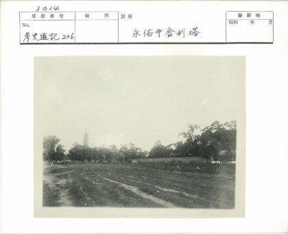 远塔田野树影风景.jpg