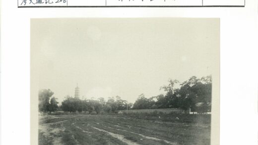 远塔田野树影风景.jpg